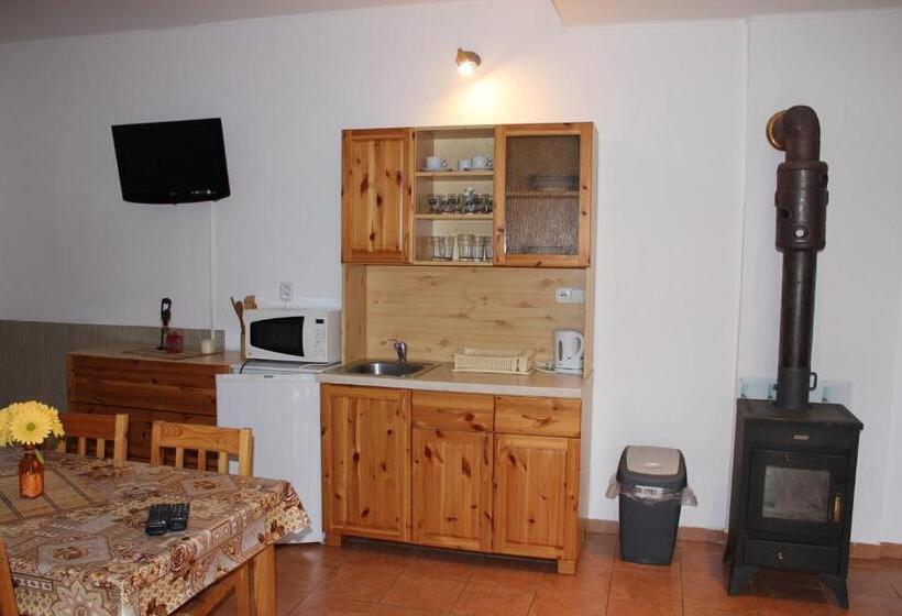 Апартаменты 1 Спальня с Террасой, Apartmany U Janka Vinné Jazero