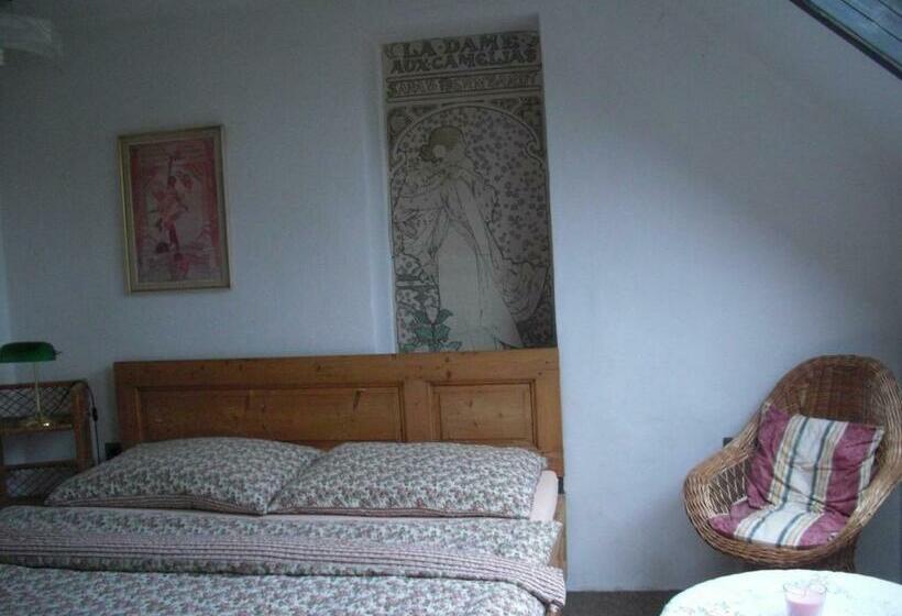 غرفة قياسية, Penzion Prezident