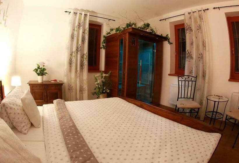 스탠다드 자쿠지 룸, Penzion Recall