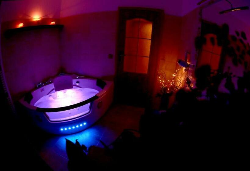 스탠다드 자쿠지 룸, Penzion Recall