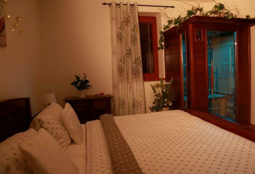 스탠다드 자쿠지 룸, Penzion Recall