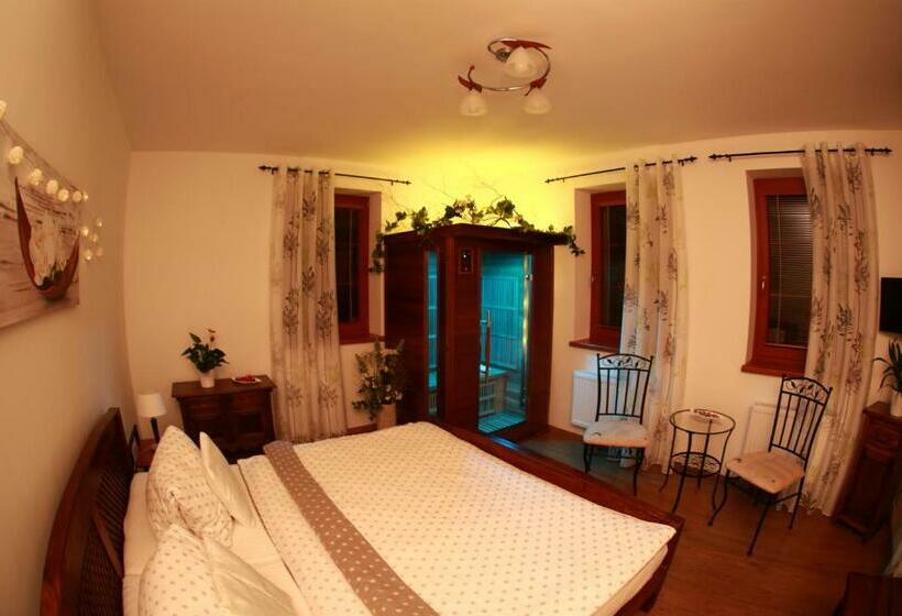 스탠다드 자쿠지 룸, Penzion Recall