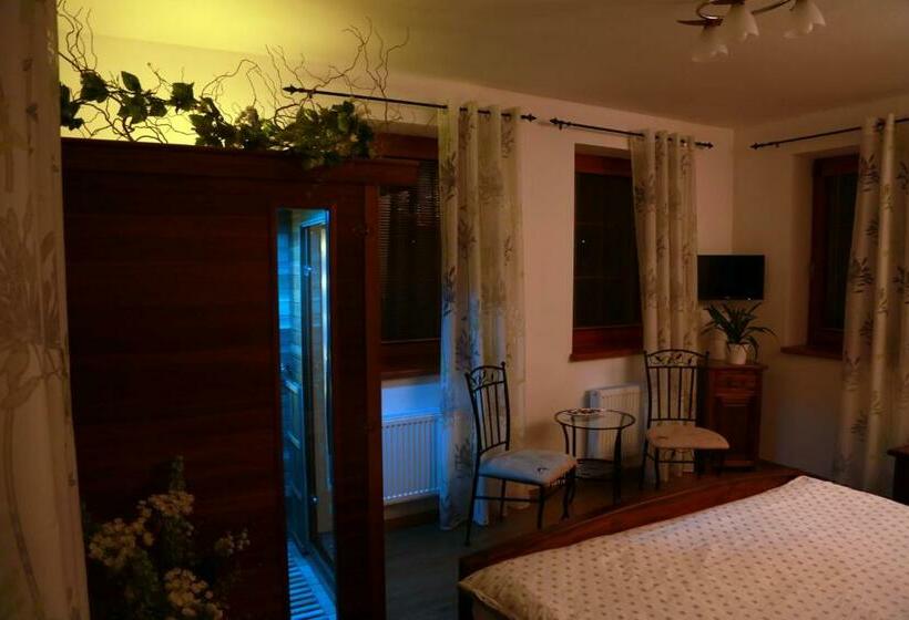 스탠다드 자쿠지 룸, Penzion Recall