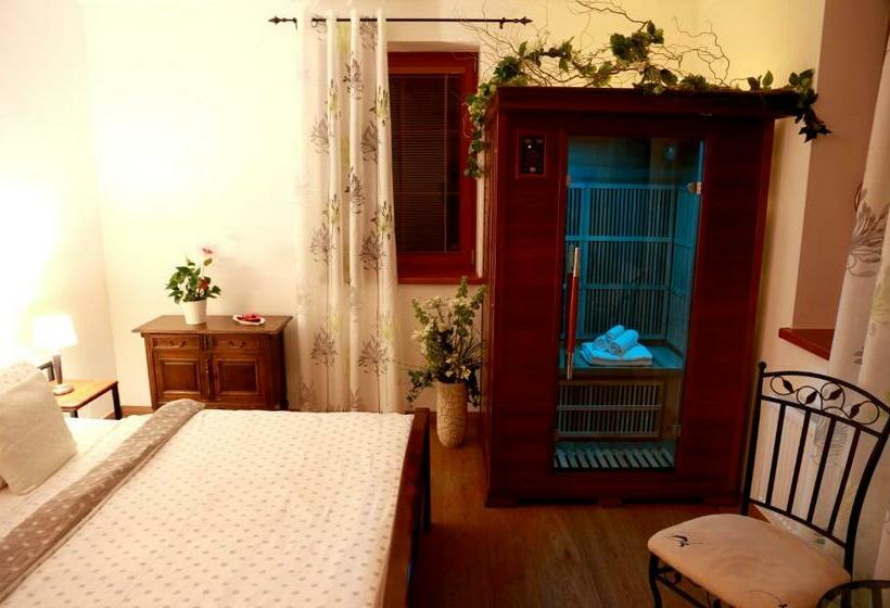 스탠다드 자쿠지 룸, Penzion Recall