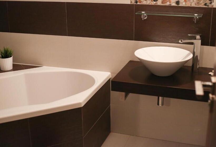 침실 1개 수피리어 아파트, Penzion Recall