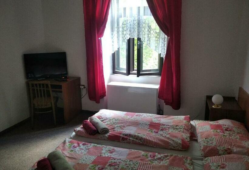 장애인을 위한 스탠다드 룸, Penzion U Jezu Dobronice