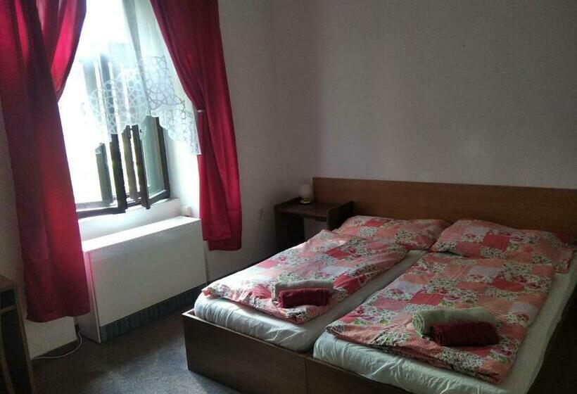 장애인을 위한 스탠다드 룸, Penzion U Jezu Dobronice