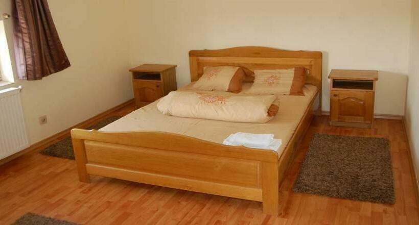 غرفة قياسية, Pensiunea Rodica