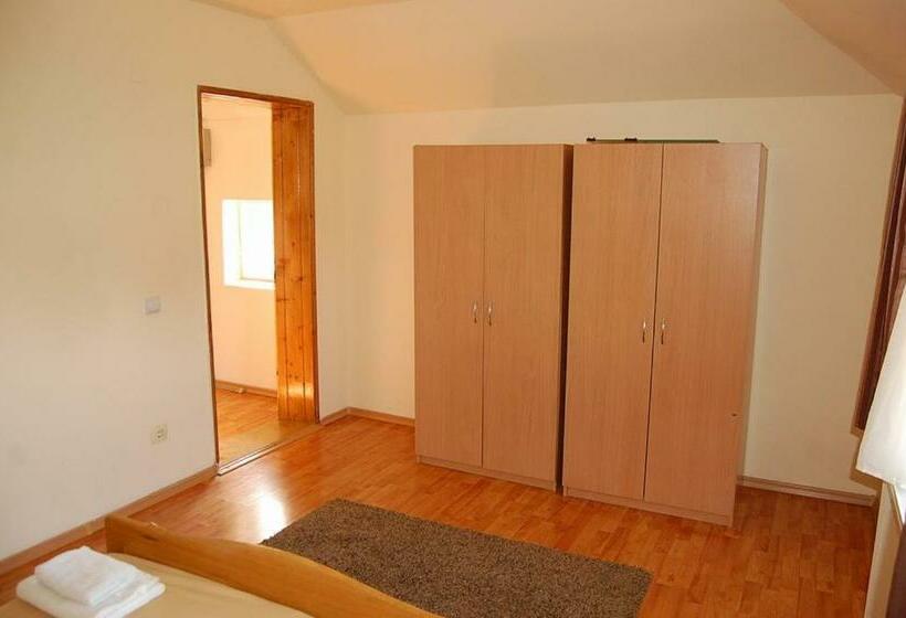 غرفة قياسية, Pensiunea Rodica