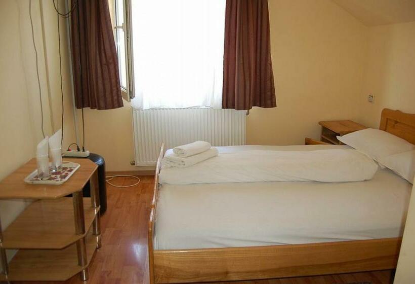 غرفة قياسية, Pensiunea Rodica