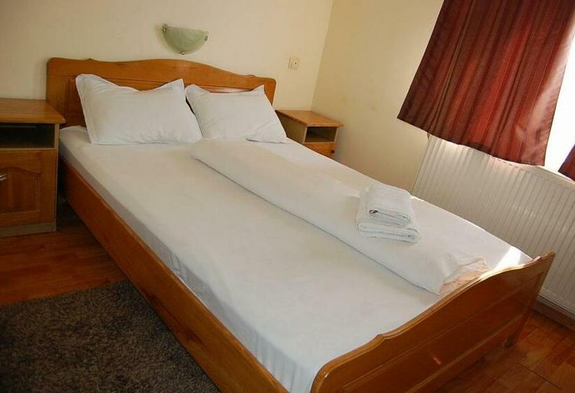 غرفة قياسية, Pensiunea Rodica