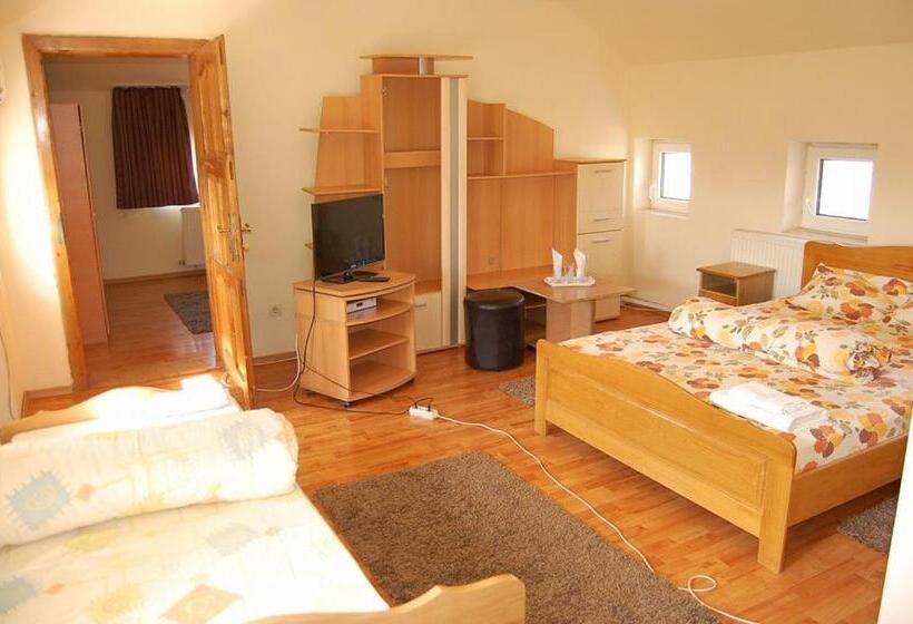 غرفة عائلية, Pensiunea Rodica