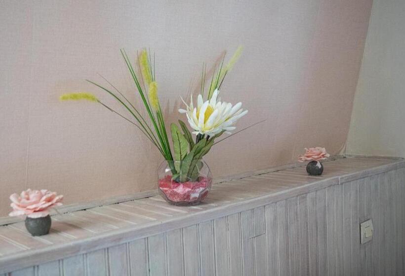 Номер Стандарт, Au Cheval Noir