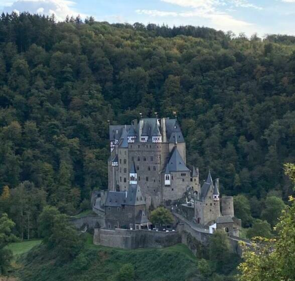 Апартаменты 1 Спальня, Eifelhof Brohl