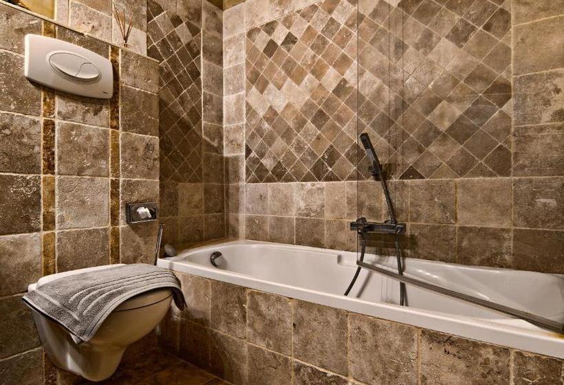 Номер Стандарт, Le Mas Du Pont Roman