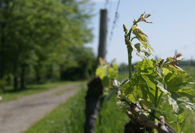 스탠다드 룸, Domaine Maison Dodo