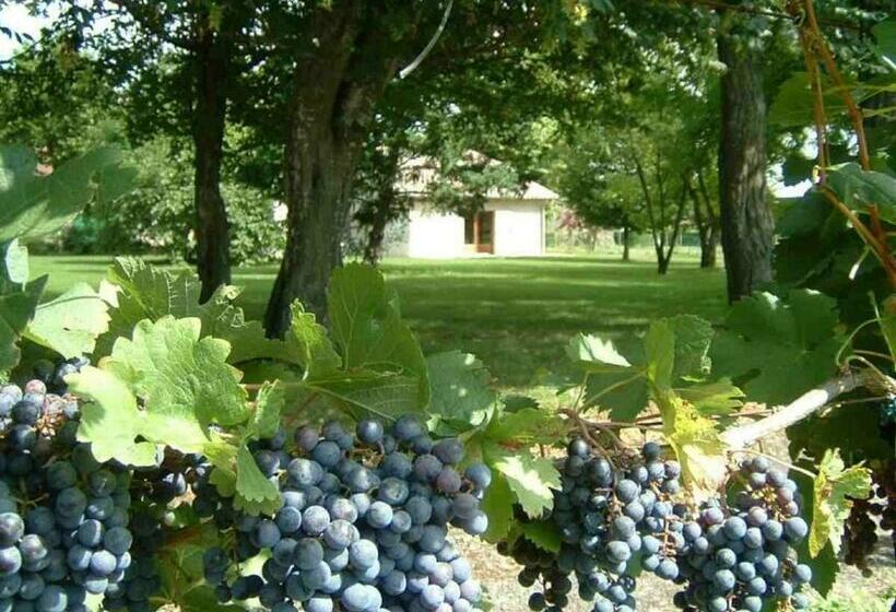 스탠다드 룸, Domaine Maison Dodo