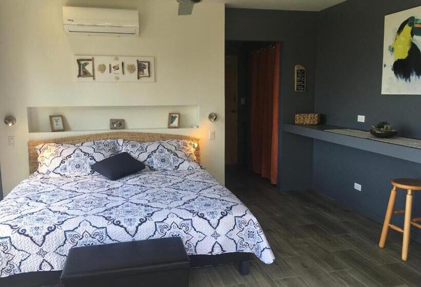 بنجلو ديلوكس, La Colina Pura Vista