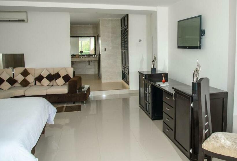 جناح كلاسيكي, El Aeropuerto