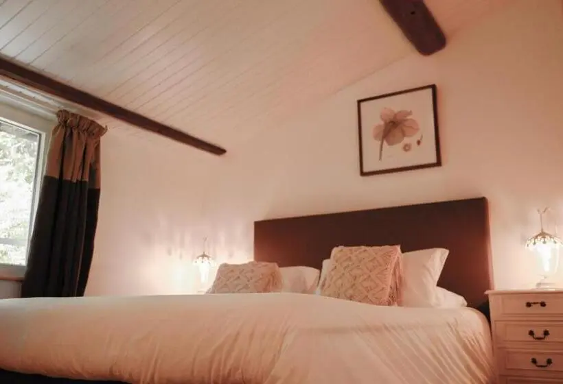 テラス付きスタンダードルーム, Chambres D'hôtes Domaine Du Hameau Baylesse