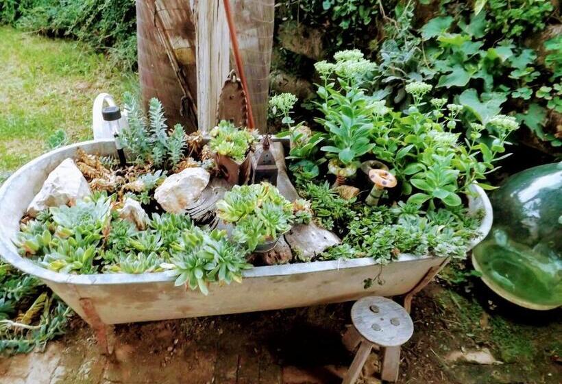 غرفة قياسية, Míves Vendégház