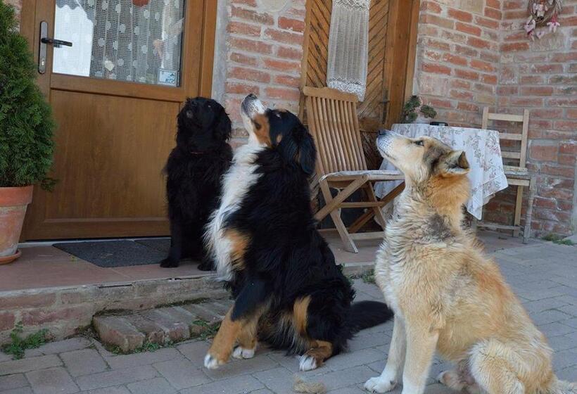 庭の見える１ベッドルームアパートメント, Míves Vendégház