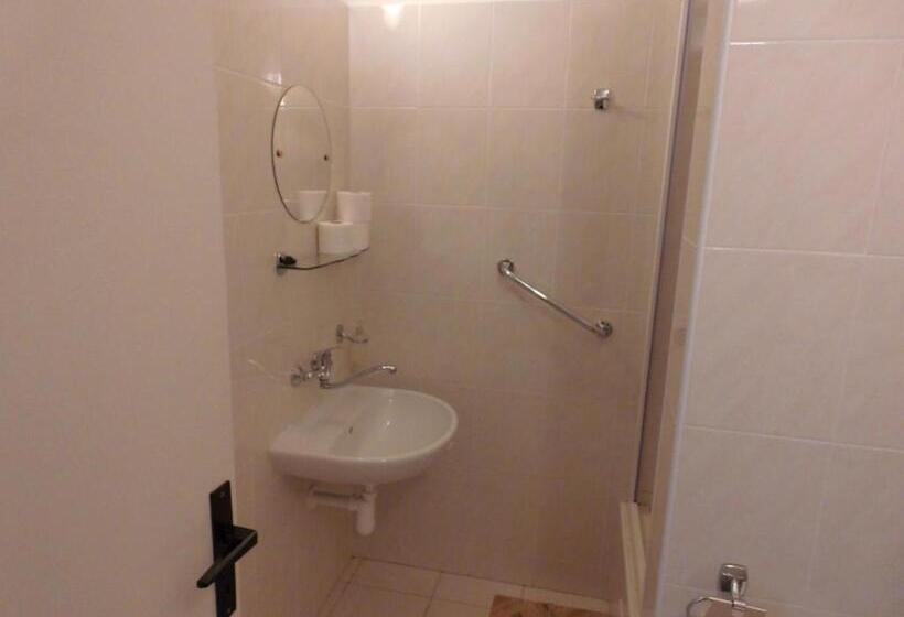 غرفة قياسية, Penzion Kovářská