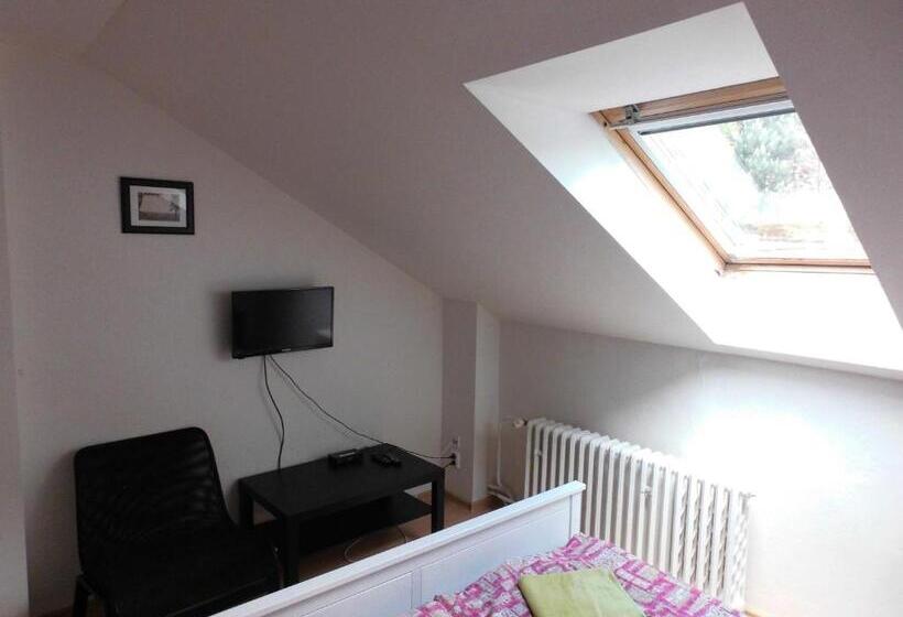 غرفة قياسية, Penzion Kovářská