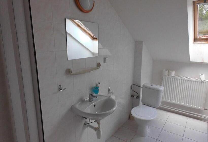 חדר סטנדרט, Penzion Kovářská