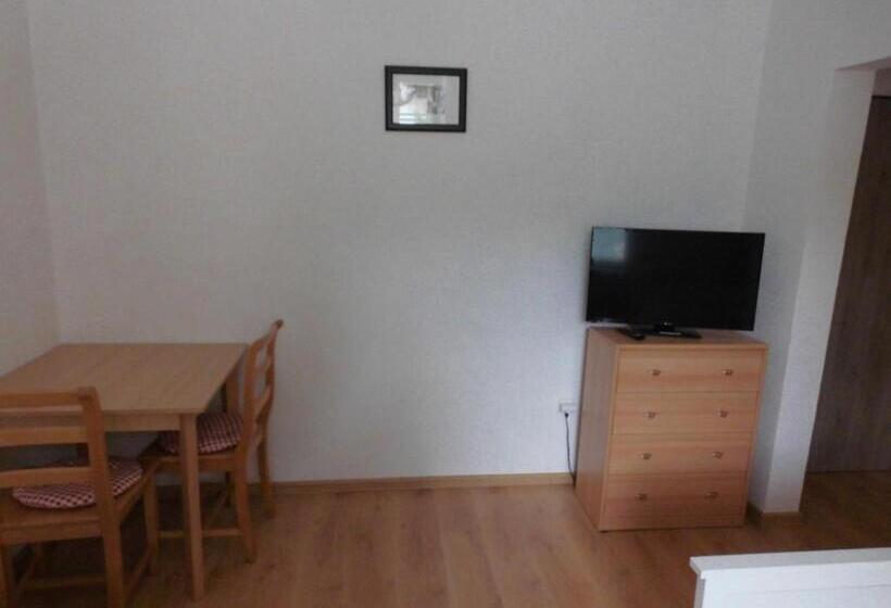 غرفة قياسية, Penzion Kovářská