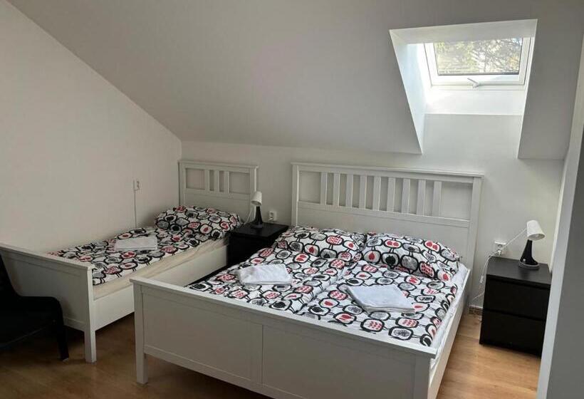 غرفة قياسية ثلاثية, Penzion Kovářská