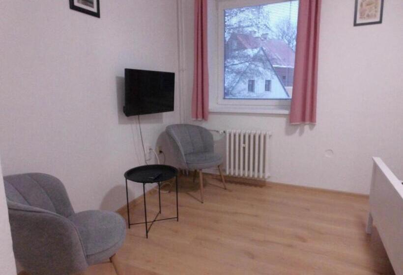 غرفة قياسية, Penzion Kovářská