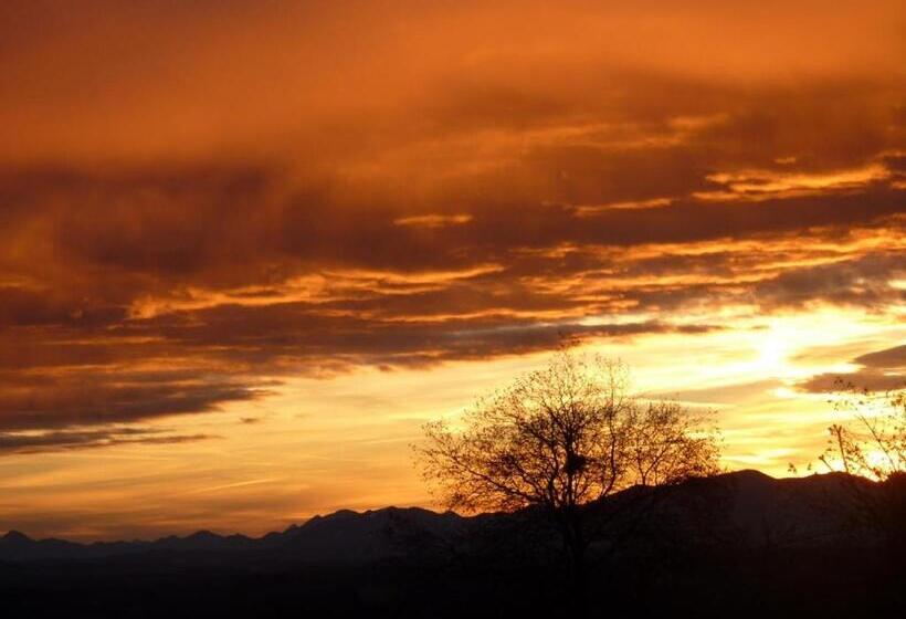 标准房带园景, Pension Mittelallgäu