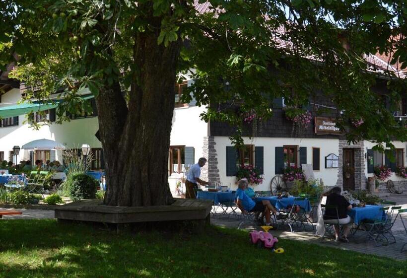 Номер Стандарт Вид на Сад, Pension Mittelallgäu