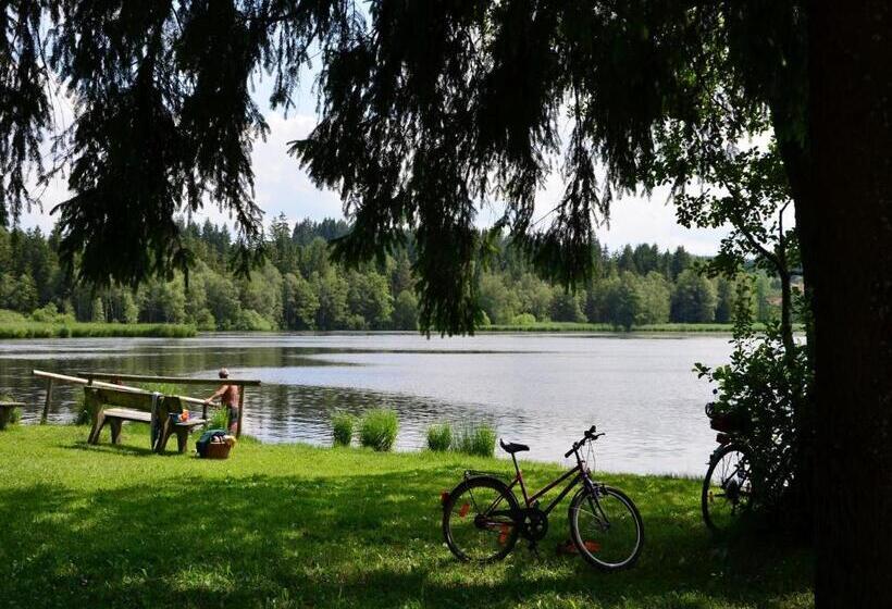 Номер Стандарт с Балконом, Pension Mittelallgäu