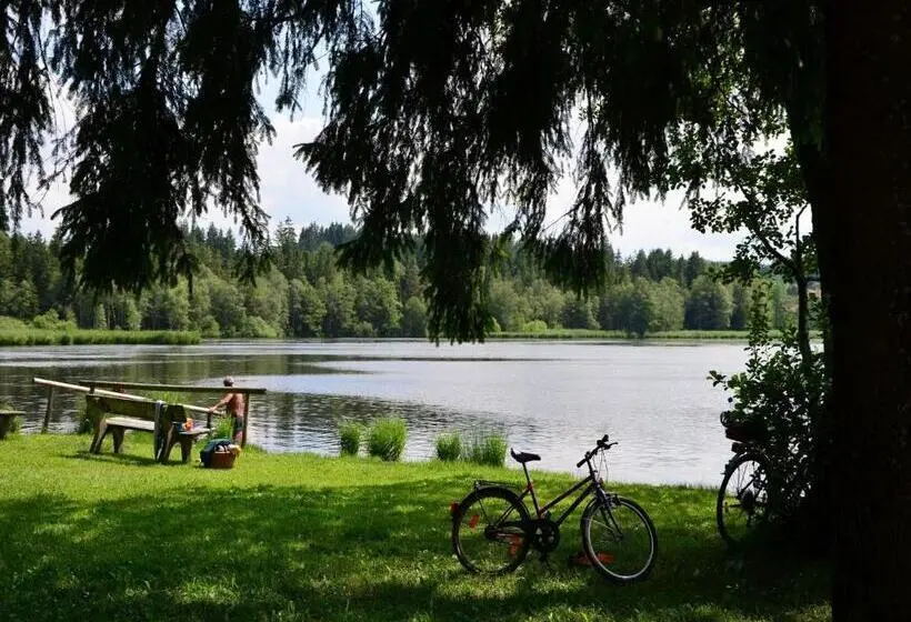 バルコニー付きスタンダードルーム, Pension Mittelallgäu