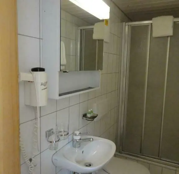 Standaard Éénpersoonskamer met Balkon, B&b Eischoll