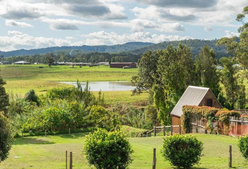 חדר סטנדרט, Kings Nd Queens Paterson