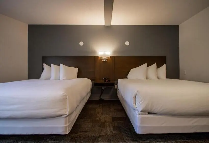 デラックスルーム, Bedrock Motel