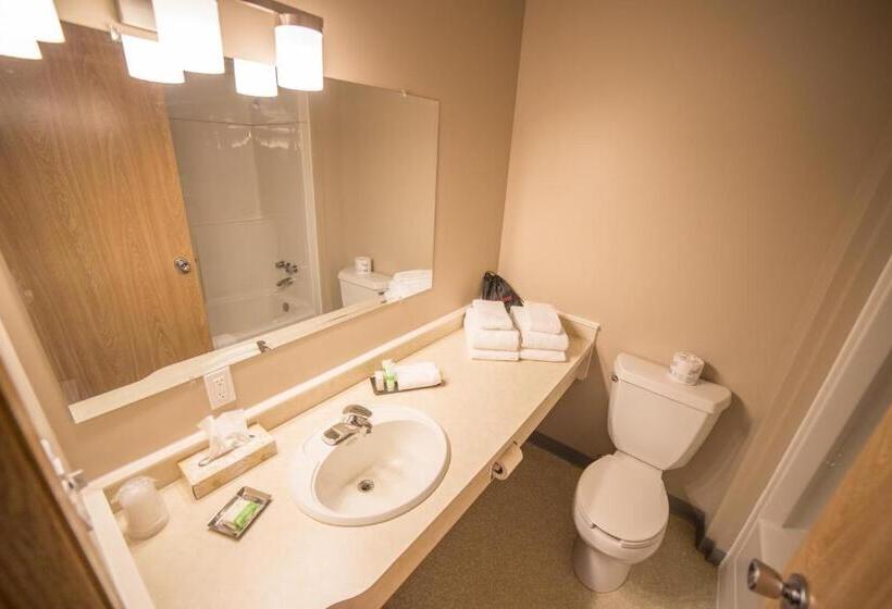 غرفة ديلوكس, Bedrock Motel