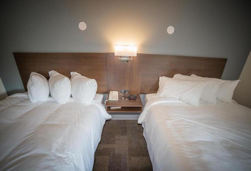 غرفة ديلوكس, Bedrock Motel