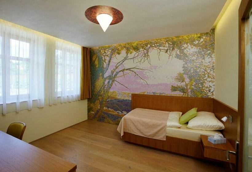 身障者適用シングルルーム, Pension Ježník