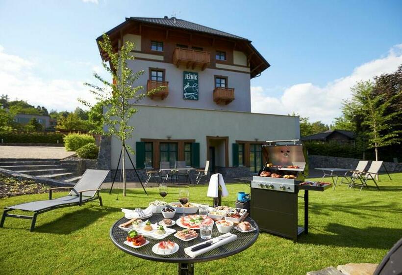 テラス付き１ベッドルームアパートメント, Pension Ježník