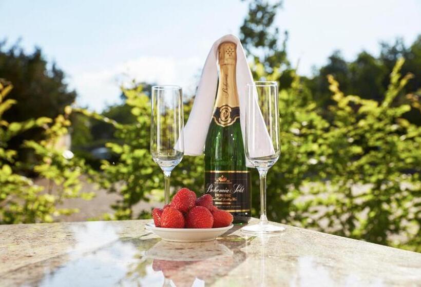 テラス付きスタンダードルーム, Pension Ježník