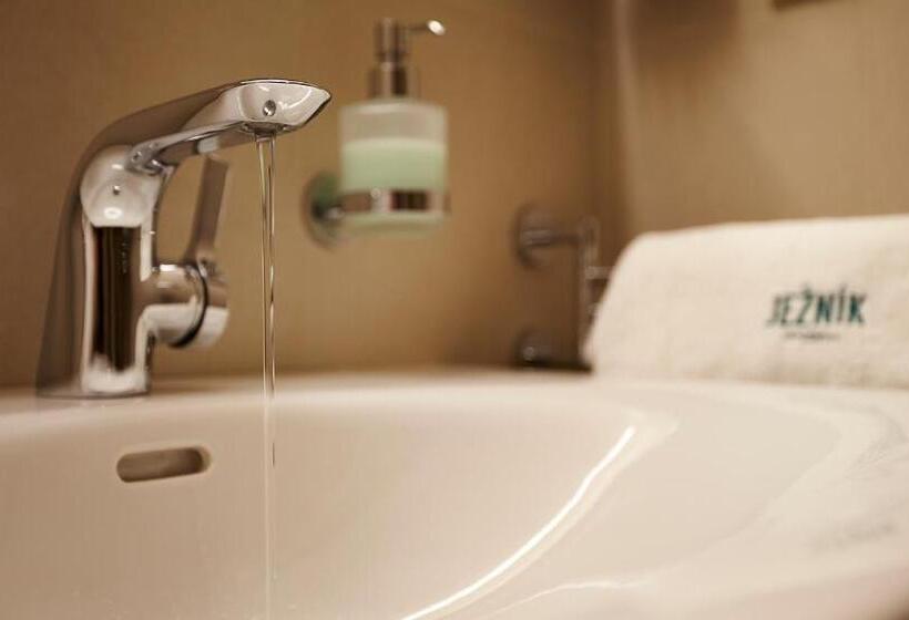 テラス付きスタンダードルーム, Pension Ježník