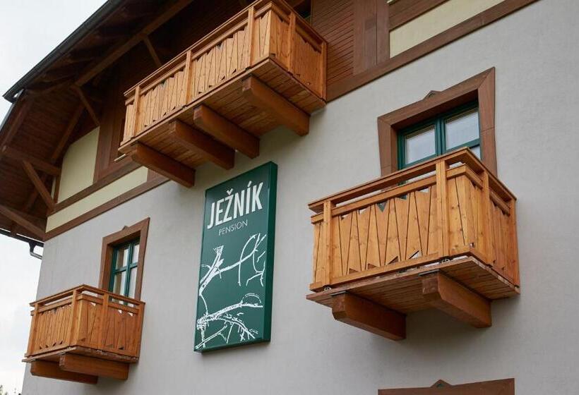 バルコニー付きスタンダードルーム, Pension Ježník