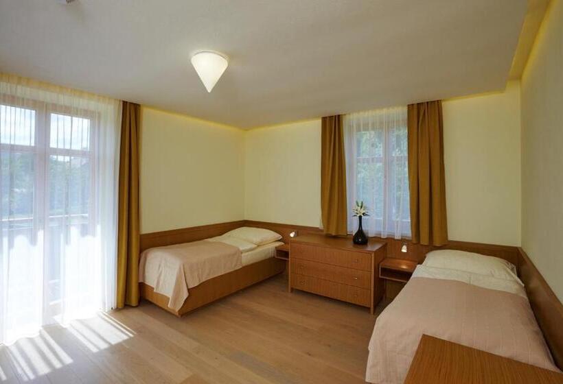 バルコニー付きスタンダードステューディオ, Pension Ježník