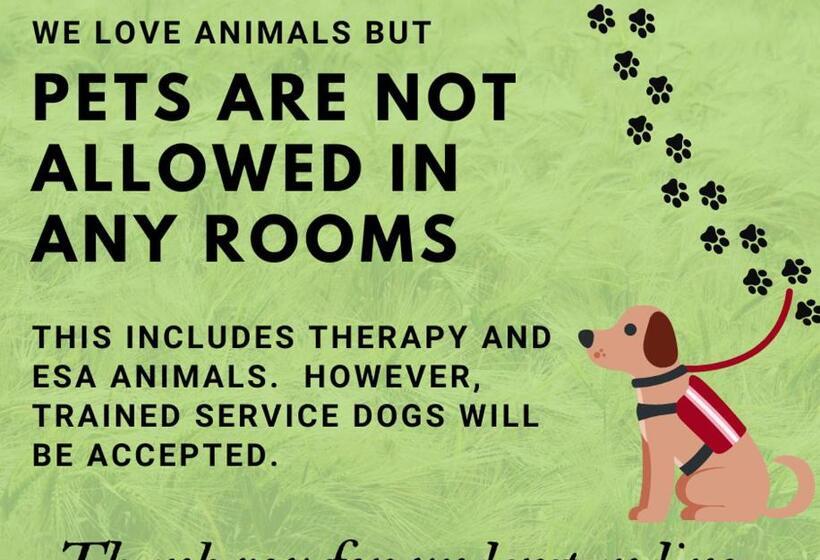 Студия Стандарт, Wolf Den Log Cabin Motel And Rv Park