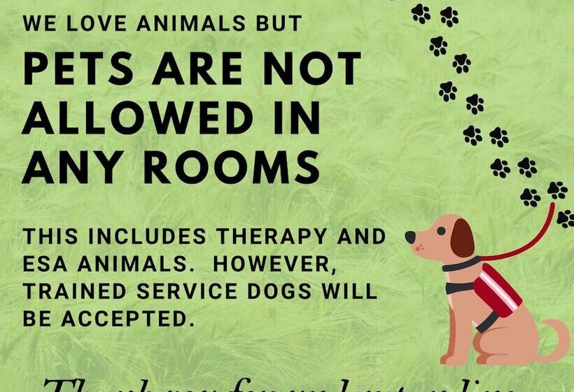 Номер Стандарт, Wolf Den Log Cabin Motel And Rv Park