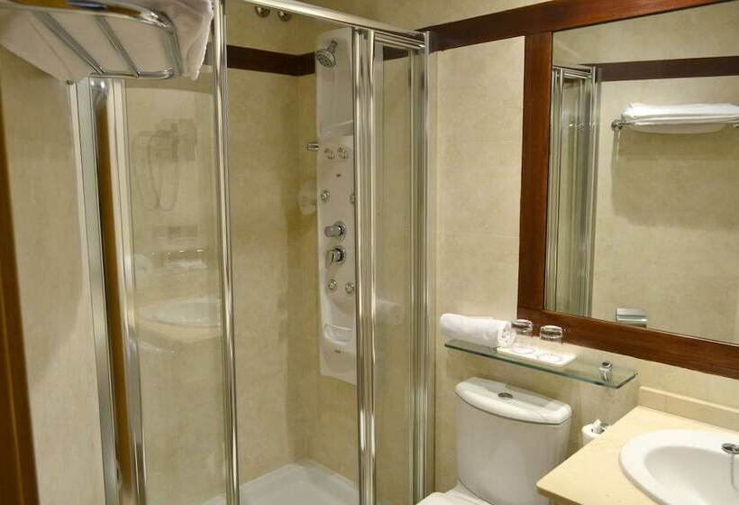 اتاق استاندارد یک نفره, Alda Palacio Valdes